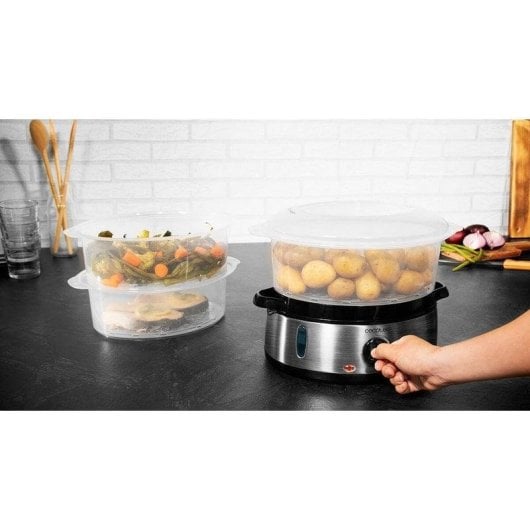 Vaporisateur Cecotec Vapovita 3000 Inox 800W 3 bols acier inoxydable temporisateur