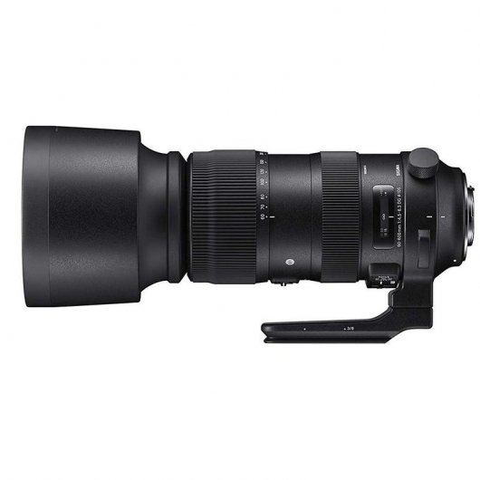 Sigma Sports Objetivo 60-600mm F4.5-6.3 DG OS HSM para Nikon