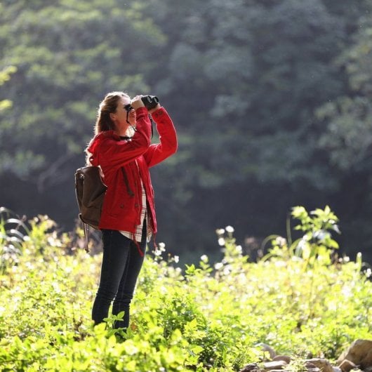 Canon 12x32 IS Prismáticos 12x32