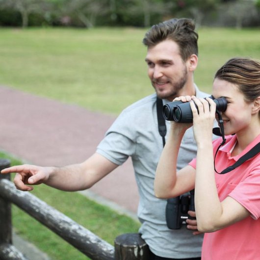 Canon 14x32 IS Prismáticos 14x32