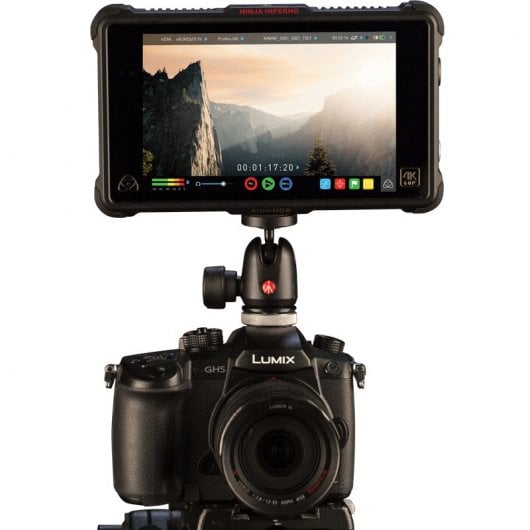 Atomos Ninja Inferno Monitor/Grabador Profesional 7" 4K