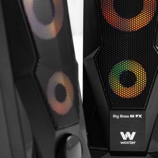 Woxter Big Bass 80 FX Altavoces 2.0 USB