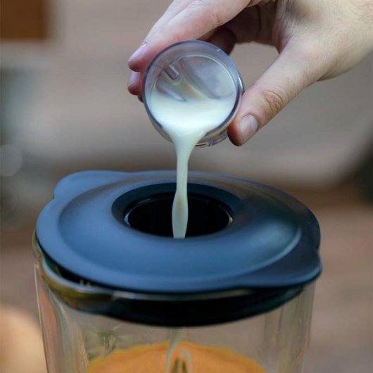 Solac Professional Mixter 1250 Batidora de Vaso 1250W