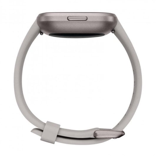 Fitbit Versa 2 Gris Piedra/Gris Niebla