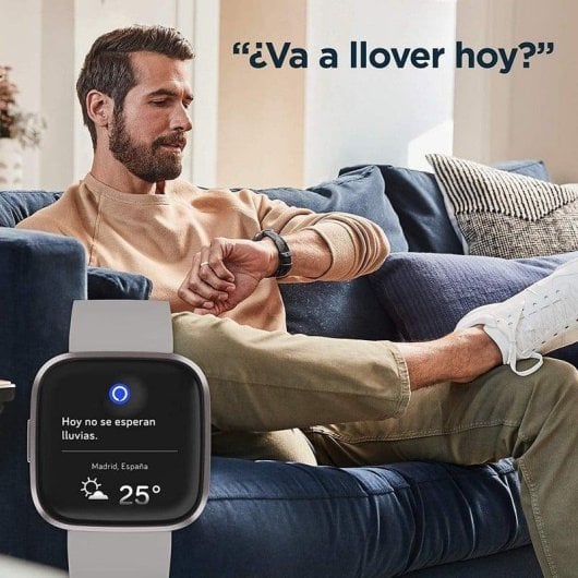 Fitbit Versa 2 Gris Piedra/Gris Niebla
