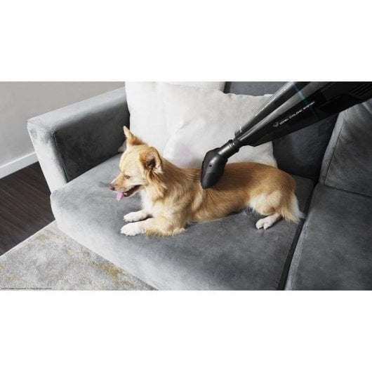 Aspirabriciole senza Fili Cecotec Conga Immortal ExtremeSuction 22.2V 25min Filtro HEPA Wet&Dry Animali 0,5L