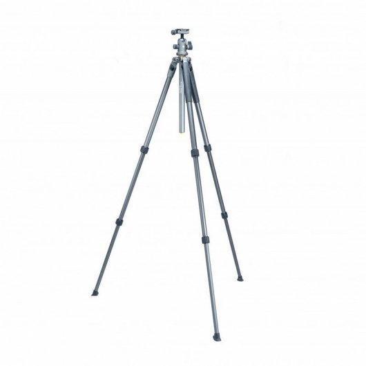 Vanguard Alta Pro 2 263AB 100 Trípode + Rótula