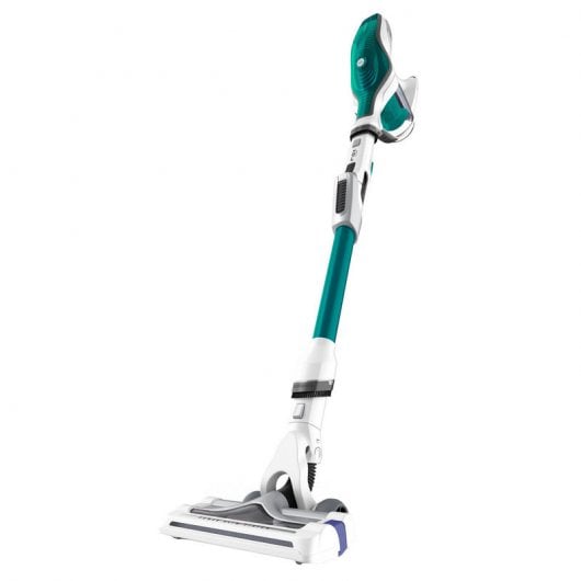 Rowenta Air Force Flex 560 Animal Care & Car 100W Verde/Blanco