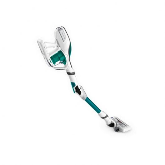 Rowenta Air Force Flex 560 Animal Care & Car 100W Verde/Blanco