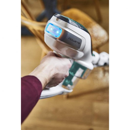 Rowenta Air Force Flex 560 Animal Care & Car 100W Verde/Blanco