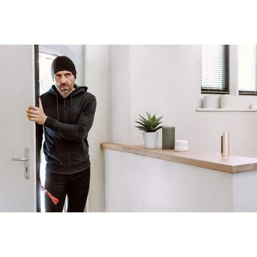 Caméra de surveillance Netatmo Welcome FullHD Vision Nocturne Intérieure IA Alarme