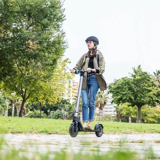 Patinete elétrico Cecotec Outsider E-Volution 8,5 Phoenix 350W Autonomia 25km Rodas tubeless LED Cinzento