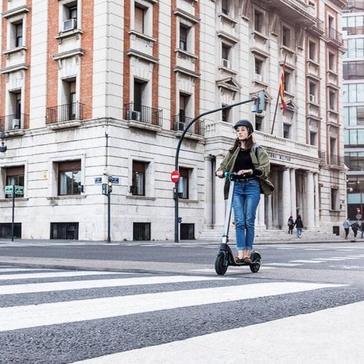 Patinete elétrico Cecotec Outsider E-Volution 8,5 Phoenix 350W Autonomia 25km Rodas tubeless LED Cinzento