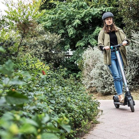 Patinete elétrico Cecotec Outsider E-Volution 8,5 Phoenix 350W Autonomia 25km Rodas tubeless LED Cinzento