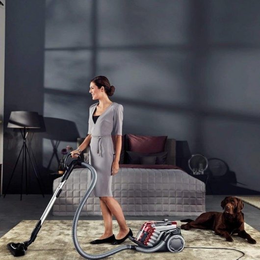 AEG LX9-2-WR-P Aspiradora sin Bolsa 750W