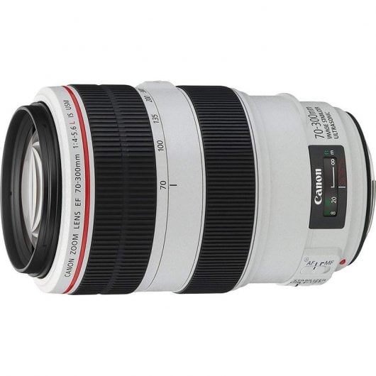 Canon EF 70-300mm f/4-5.6L IS USM SLR Teleobiettivo Nero, Bianco