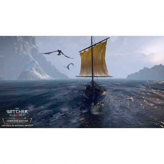 The WItcher 3: Wild Hunt Complete Edition Nintendo Switch