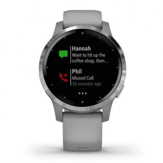 Garmin Vivoactive 4S Smartwatch Gris/Plata