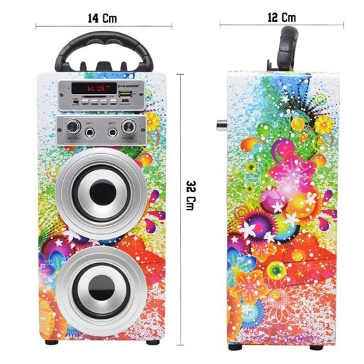 Dynasonic Karaoke 025 Altavoz Bluetooth con Karaoke y 2 Micrófonos Multicolor