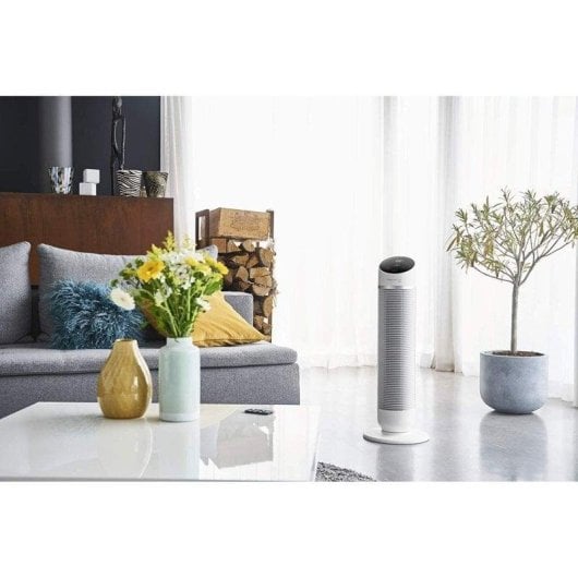 Riscaldatore termoventilatore Rowenta Hot&Cool Silent 3 in 1 2400W Silenzioso Telecomando