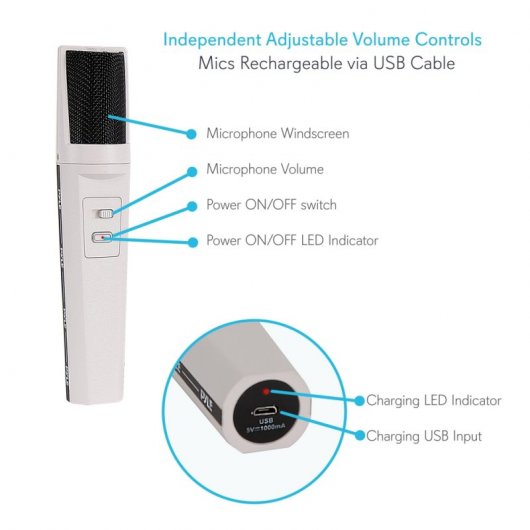 Pyle PDWM2232 Sistema de Microfones Sem Fios UHF 2 Canais