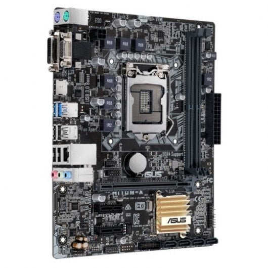 Asus H110M-A/DP