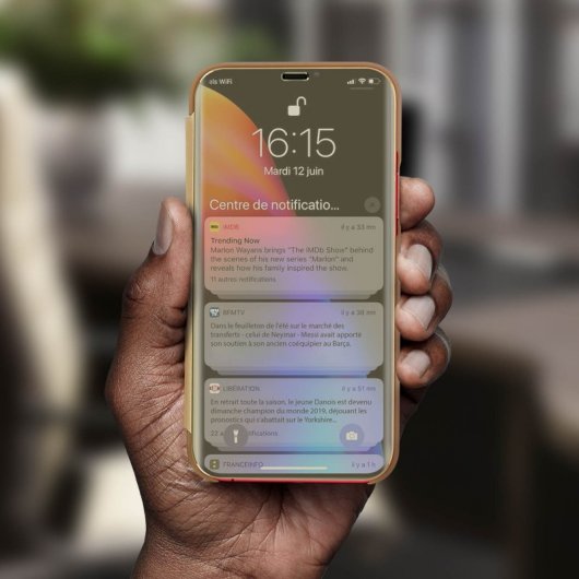Avizar Funda Libro Translúcida Efecto Espejo Dorado para iPhone 11 Pro