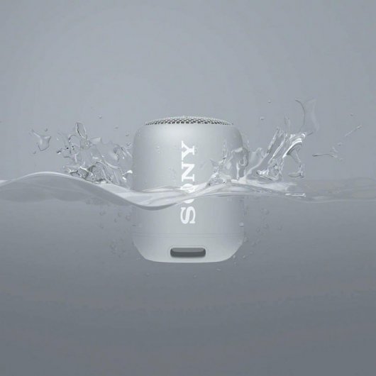 Sony SRS-XB12 Altavoz Bluetooth Gris