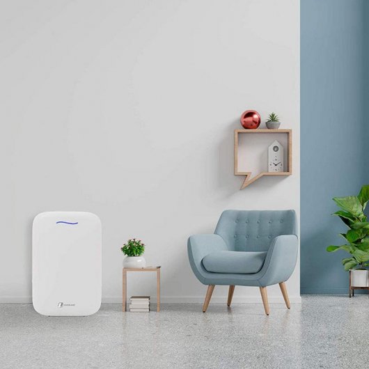 Haverland Airpure Purificador de Aire