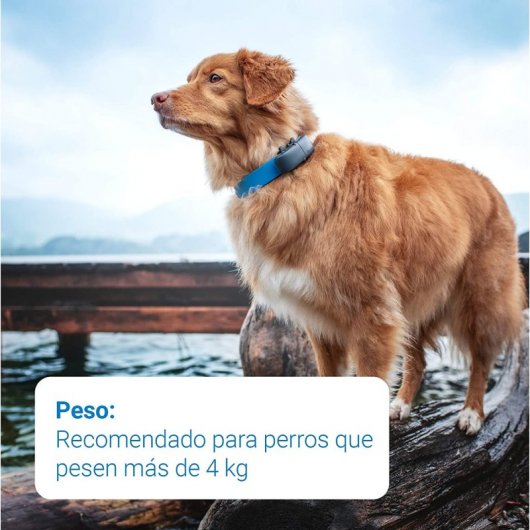 Tractive Dogs GPS Para Perros