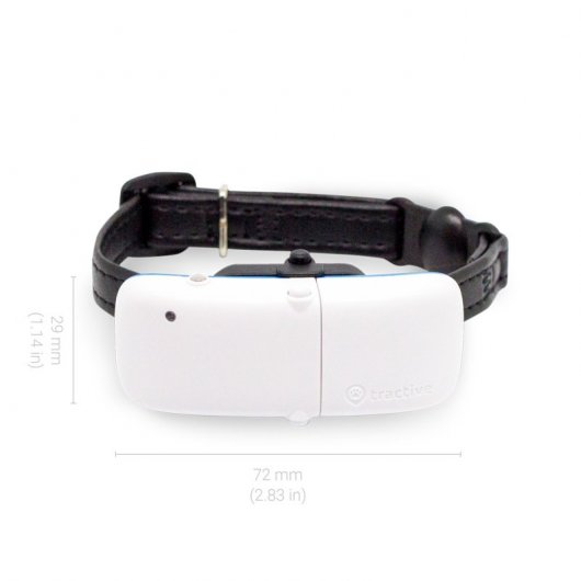 Tractive Ikati GPS de Seguimiento y Actividad Para Gatos