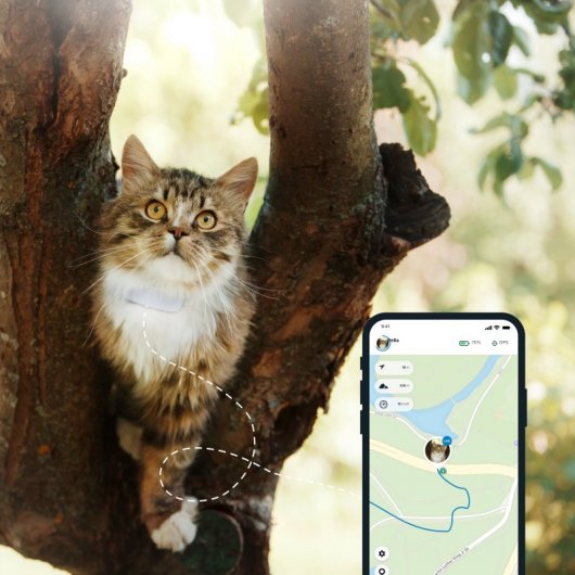 Tractive Ikati GPS de Seguimiento y Actividad Para Gatos