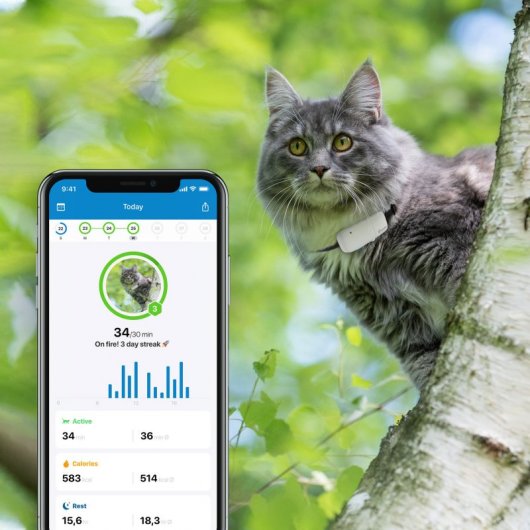 Tractive Ikati GPS de Seguimiento y Actividad Para Gatos
