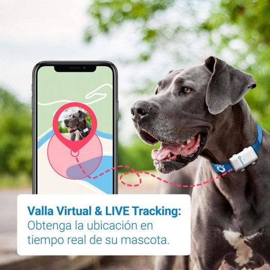 Tractive Dogs XL GPS Para Perros Grandes