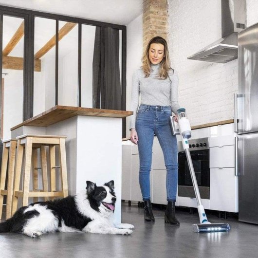 Aspirateur sans Fil Cecotec Conga RockStar 200 Vital 330W 50 min Filtration Cyclonique 0,4L