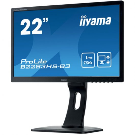 Iiyama Prolite B2283HS-B3 21.5" LED FullHD