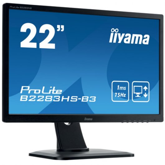 Iiyama Prolite B2283HS-B3 21.5" LED FullHD