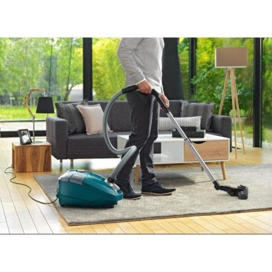 Rowenta Power XXL RO3142EA Aspiradora con Bolsa 450W Verde