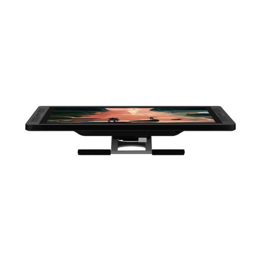 Huion Kamvas Pro 22 (2019) Tableta Digitalizadora 21.5"