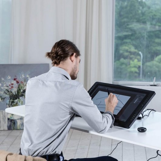 Huion Kamvas Pro 22 (2019) Tableta Digitalizadora 21.5"