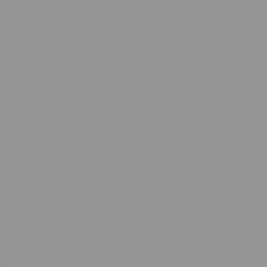 Bresser Fondo de Estudio de Papel 2.72x11M Gris Nube