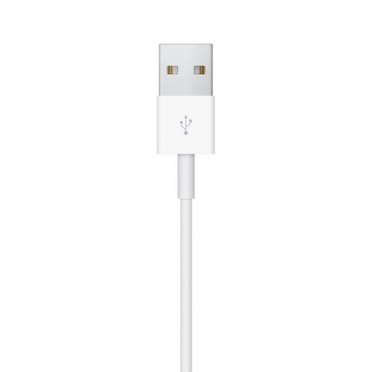 Apple Cable de Carga Magnética para Apple Watch 1m Blanco