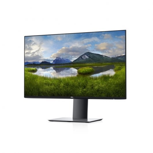 DELL U2421HE 60,5 cm (23.8") 1920 x 1080 pixels Full HD LCD Noir, Argent