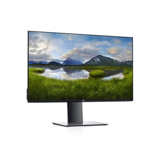 DELL U2421HE 60,5 cm (23.8") 1920 x 1080 pixels Full HD LCD Noir, Argent