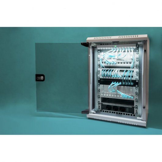 Digitus DN-1019 Rack 10U Wandmontiertes Regal Grau