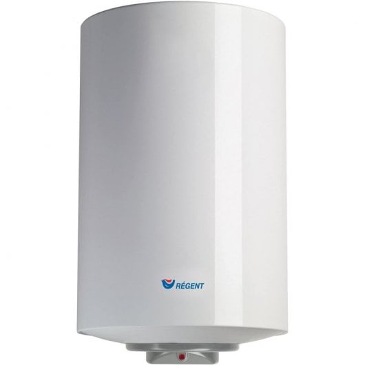Ariston Regent Termo Eléctrico Vertical 100L C