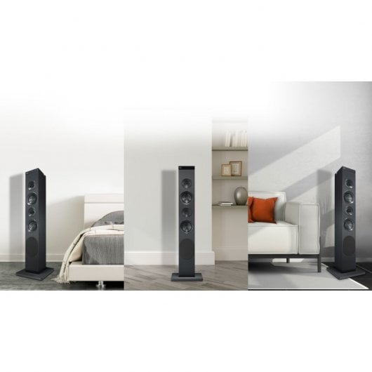 LG RK1D Torre de Sonido Bluetooth con Radio FM/USB/Bass Refflex 60W