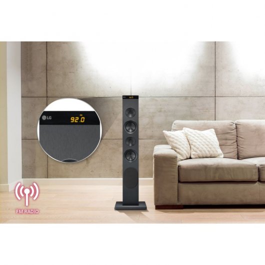 LG RK1D Torre de Sonido Bluetooth con Radio FM/USB/Bass Refflex 60W