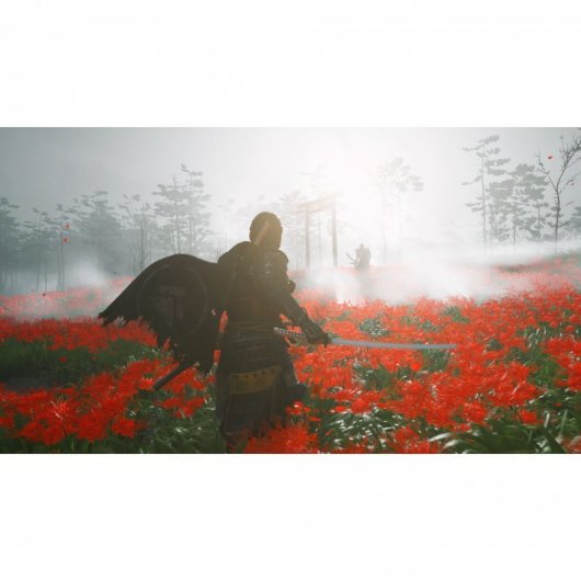 Sony PlayStation 4 Slim 1TB + Mando Dualshock 4 + Ghost of Tsushima