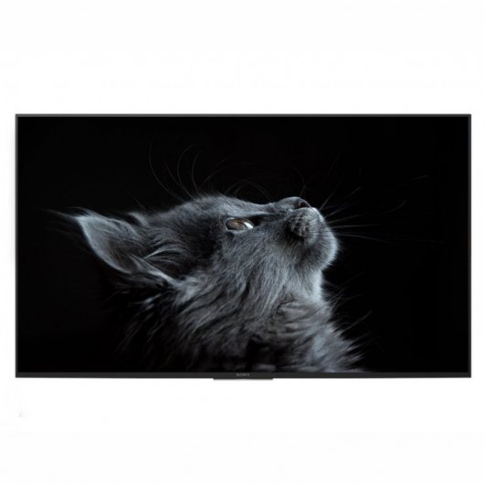 Sony Bravia FWD-43X80H/T 43" LED IPS UltraHD 4K HDR